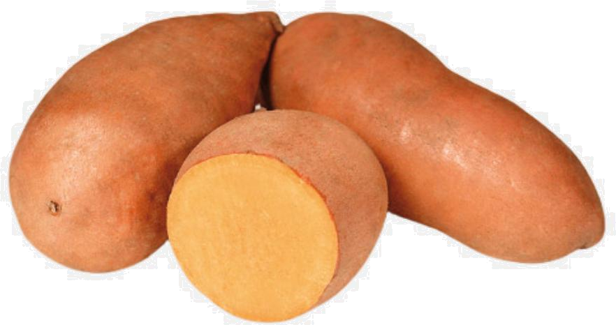 Bellevue Egyptian Sweet Potatoes