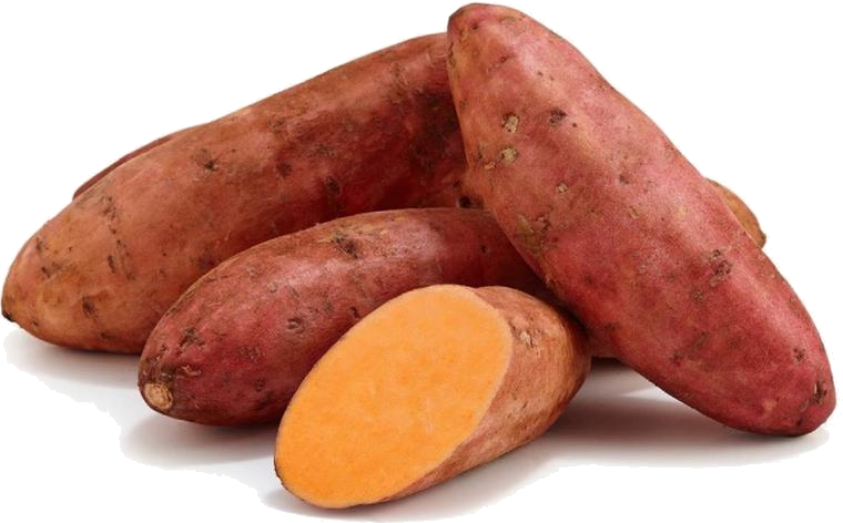 Egyptian Local Sweet Potato Varieties