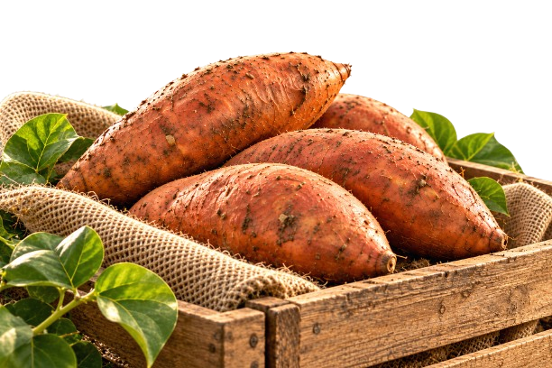 Rustic crate of selected fresh sweet potatoes